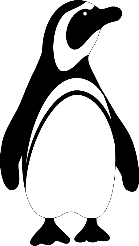 Black And White Penguin Clipart - Penguin Clipart Black And White - Png Download (451x800), Png Download