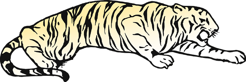 Lying Tiger Clipart - Tiger Pouncing Coloring Pages - Png Download (800x266), Png Download
