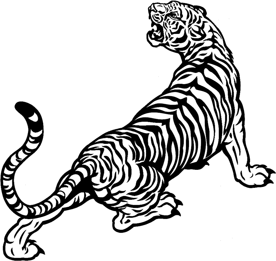 Big Cat Clipart Indian Tiger - Black And White Tiger Drawing - Png Download (940x905), Png Download