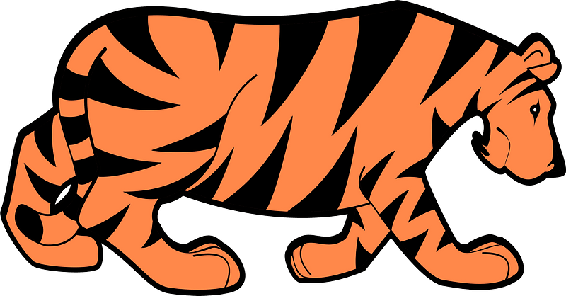 Walking Tiger Clipart - Tiger - Png Download (800x418), Png Download