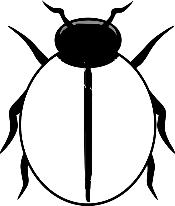 Lady Beetle Clipart Spot - Ladybird Clipart Black And White - Png Download (611x720), Png Download