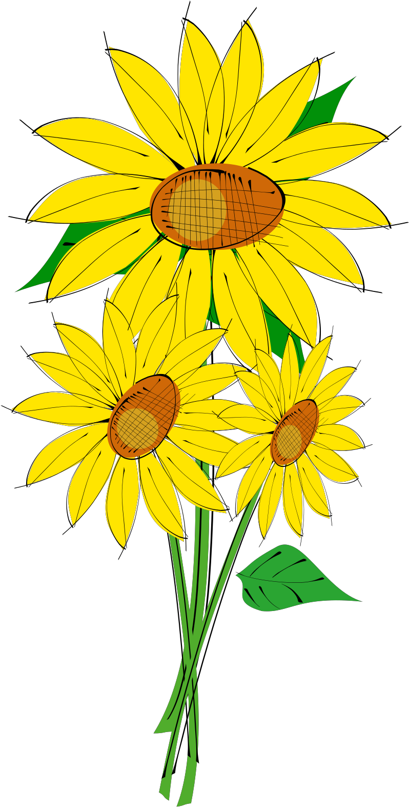Transparent Background Sun Flower Clip Art - Png Download (1600x1600), Png Download