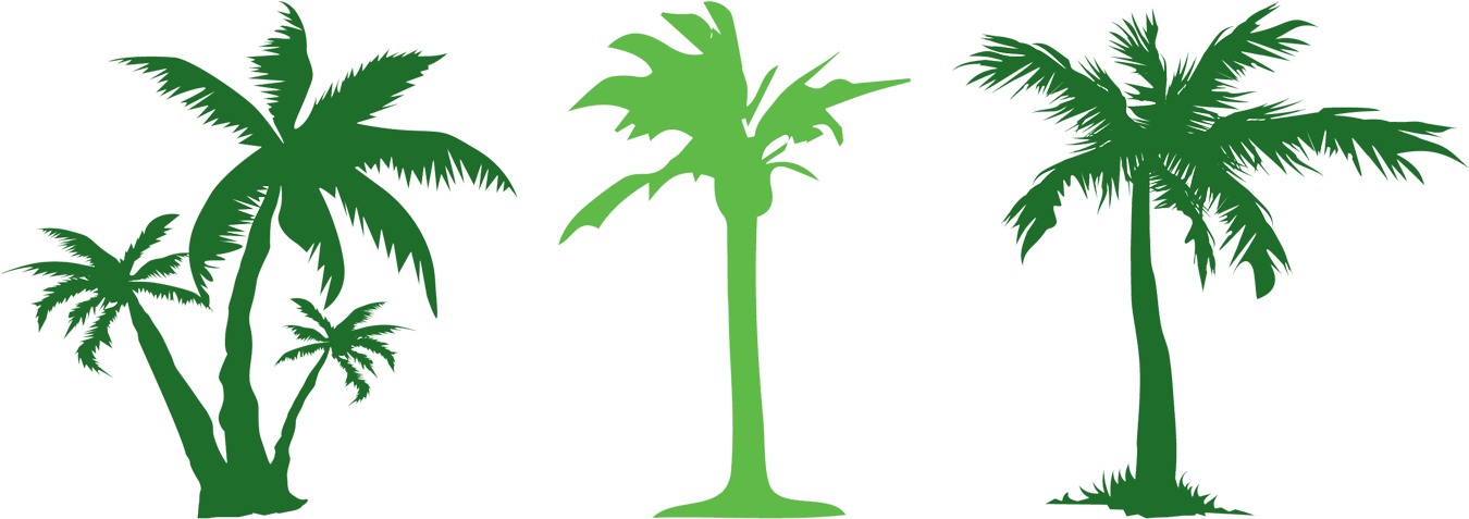 Tree Evergreen Arecaceae Clip Art - Green Coconut Tree Clipart - Png Download (1500x700), Png Download