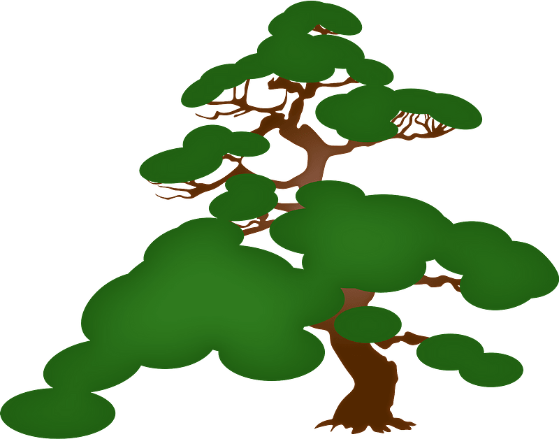 Pine Tree Clipart - 松 イラスト リアル - Png Download (800x628), Png Download