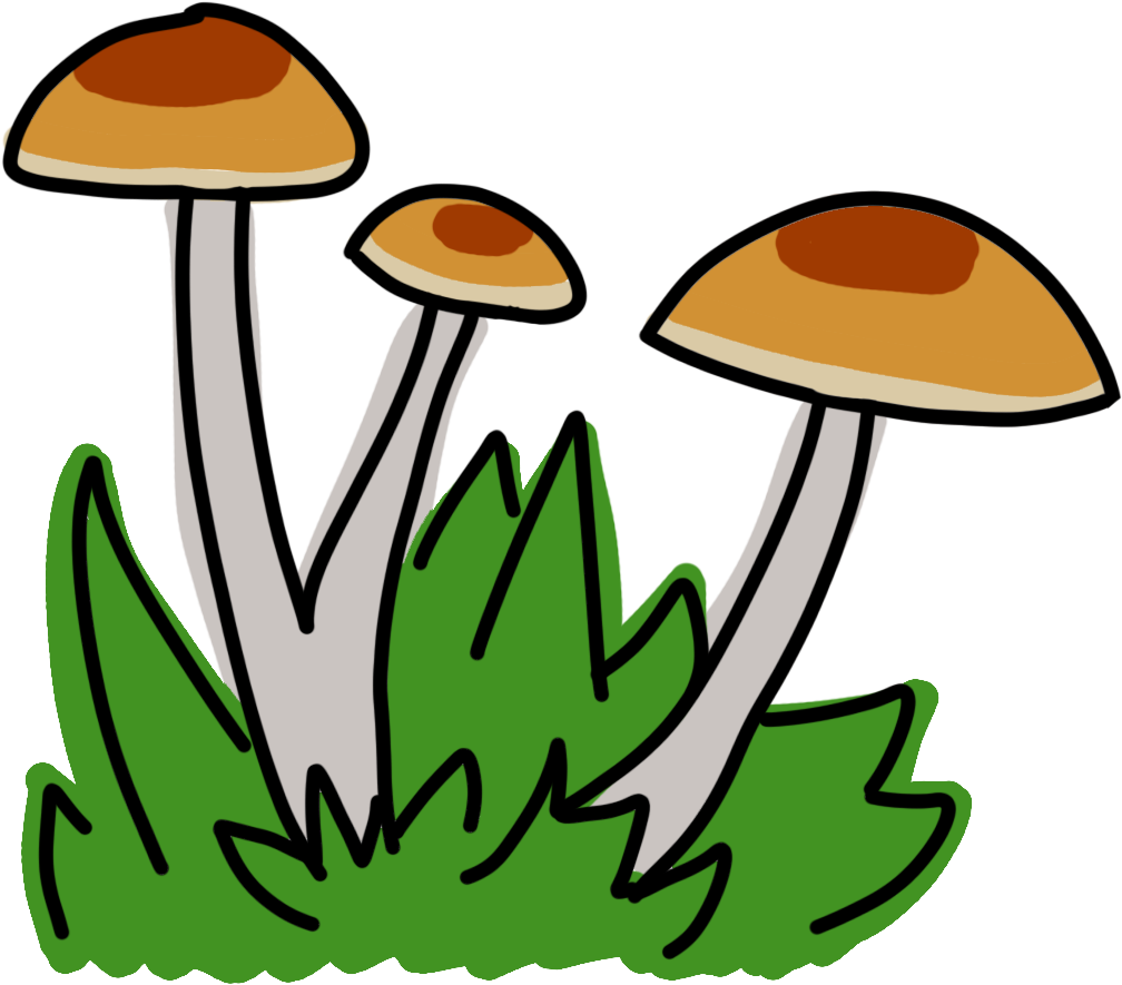 Psychedelics On Track To Be Decriminalized In Santa - Agaricaceae Clipart (1155x993), Png Download