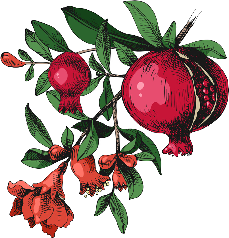 Face Shop Collagen Pomegranate Clipart (1003x975), Png Download