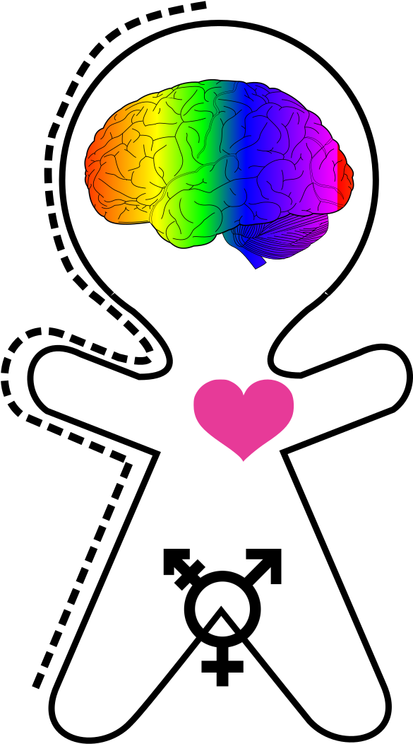 Transgender Clipart (800x1131), Png Download