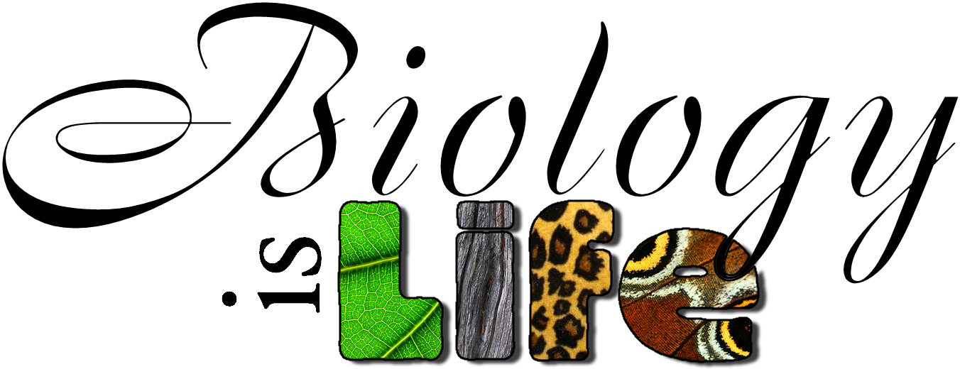 Biology Project Cover Page Clipart (1426x620), Png Download