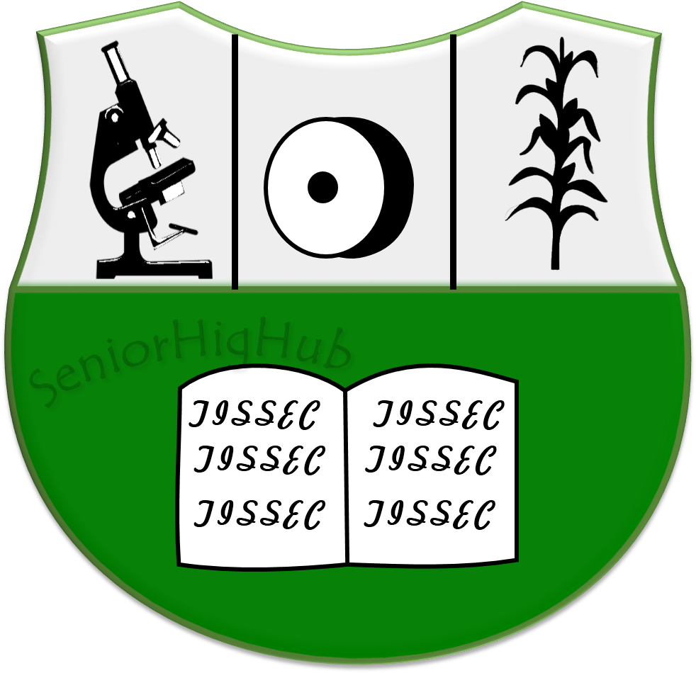 Cartoon Clipart (988x956), Png Download