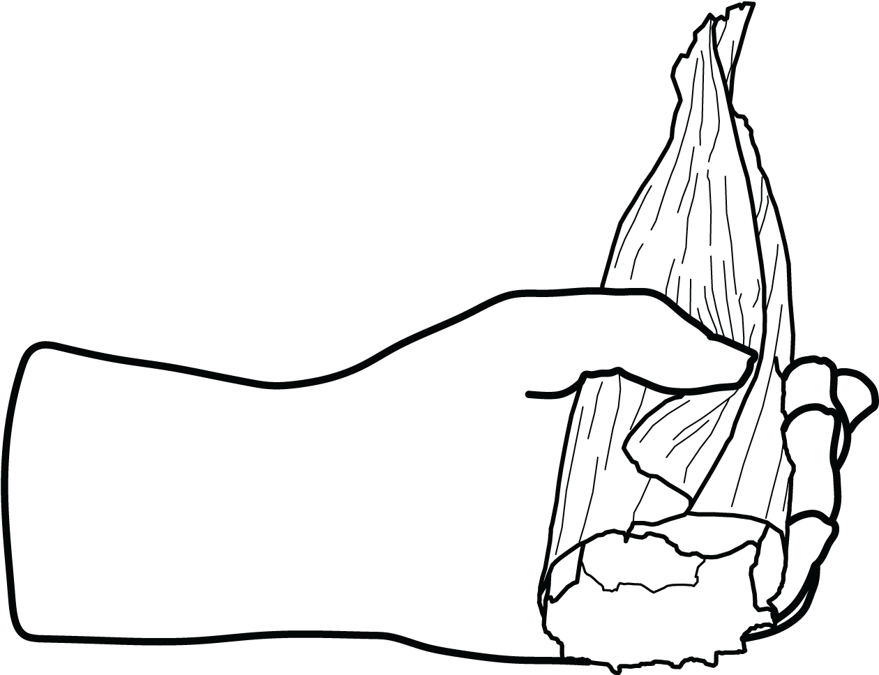 007 5 Tamales - Hand Clipart (1260x968), Png Download