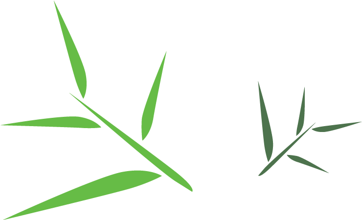 Bamboo Leaves Clip Art - Png Download (955x500), Png Download