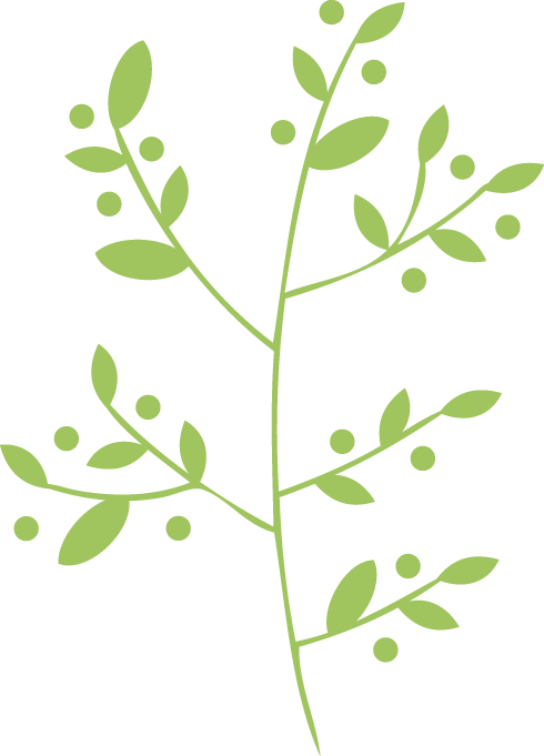 Leaf Herb Vector Png Clipart (490x681), Png Download
