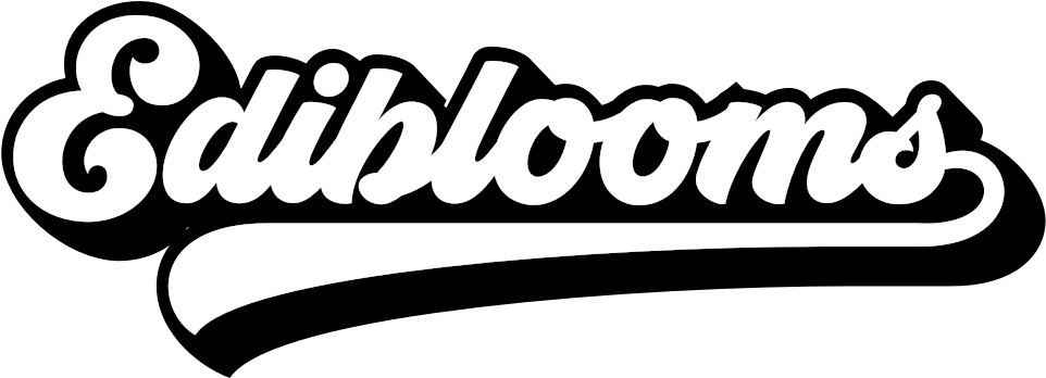 Clip Art - Png Download (975x410), Png Download