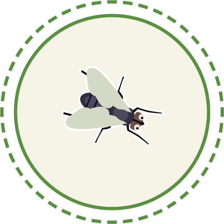 Fly Circle - Puntos Riscados De Africanos Clipart (800x800), Png Download