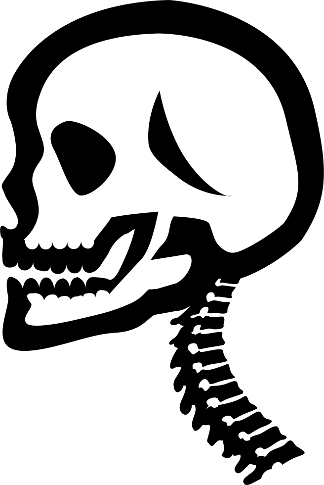 Head And Neck - Neck Skull Black And White Icon Clipart (656x980), Png Download