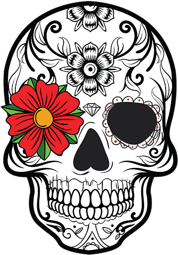 Skull Drawing Day Of The Dead Clipart (583x700), Png Download