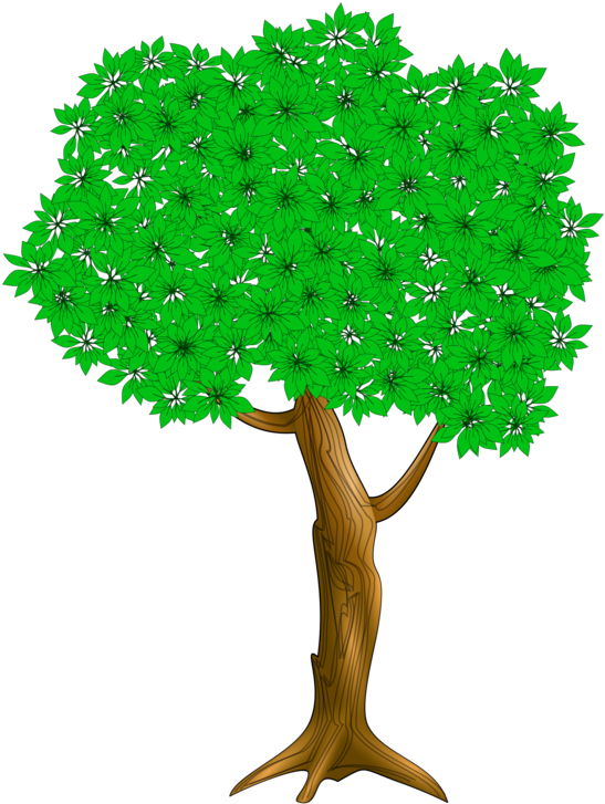 Plant,leaf,flowerpot - I Had A Little Nut Tree Clipart (568x749), Png Download