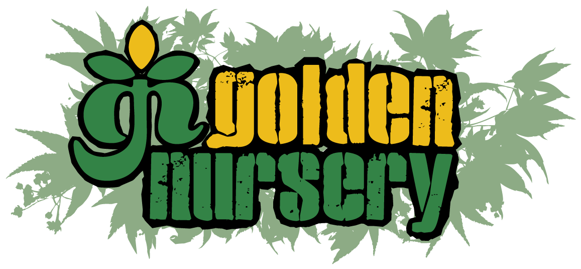 Nursery Clipart Sup - Illustration - Png Download (1260x640), Png Download