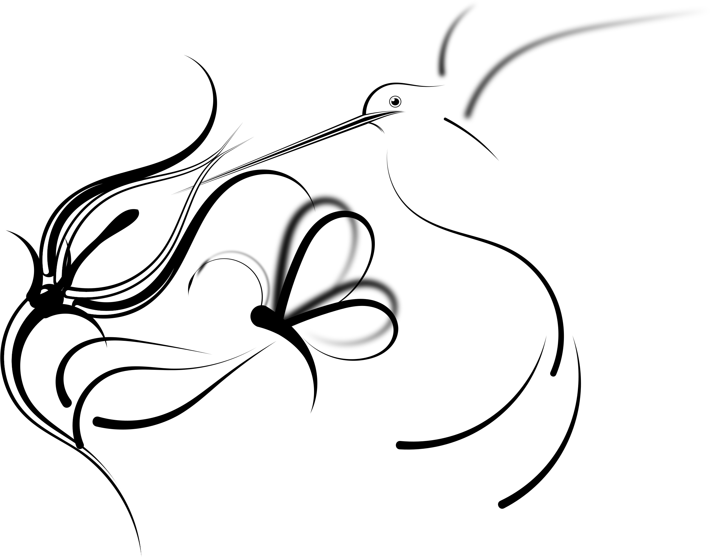 Clip Art Library Feeding Big Image Png - Humming Bird With Flowerd Drawing Transparent Png (2381x1868), Png Download