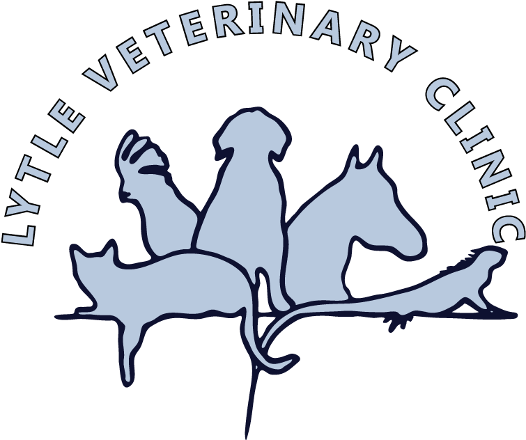 Female Veterinarian Clipart Cat Clip Black And White - Frontier Lifeline Hospital Logo - Png Download (800x663), Png Download