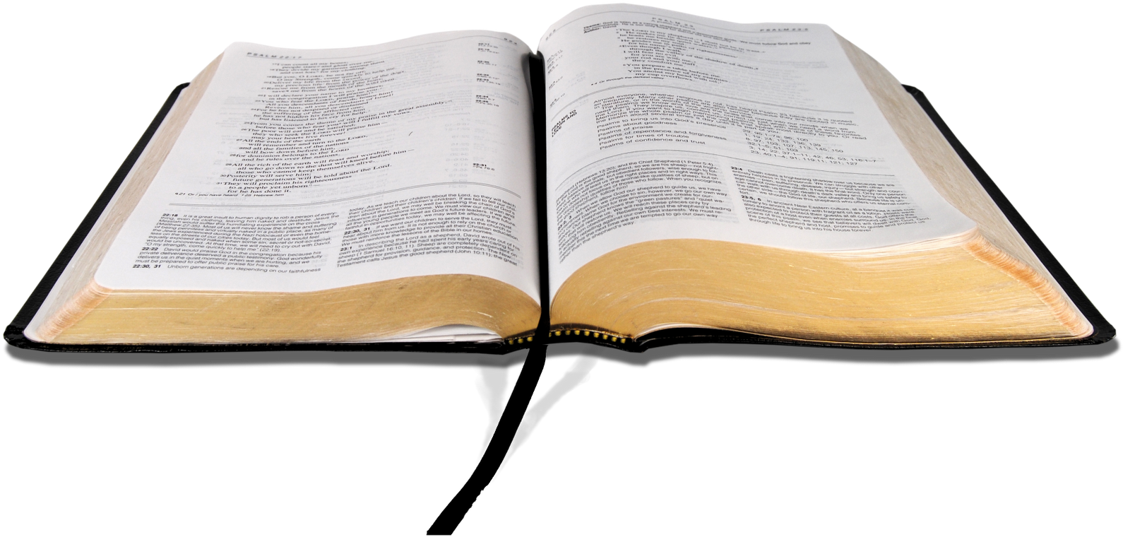 Ivy Clipart Open Bible - Bible Png Transparent Png (1600x1008), Png Download