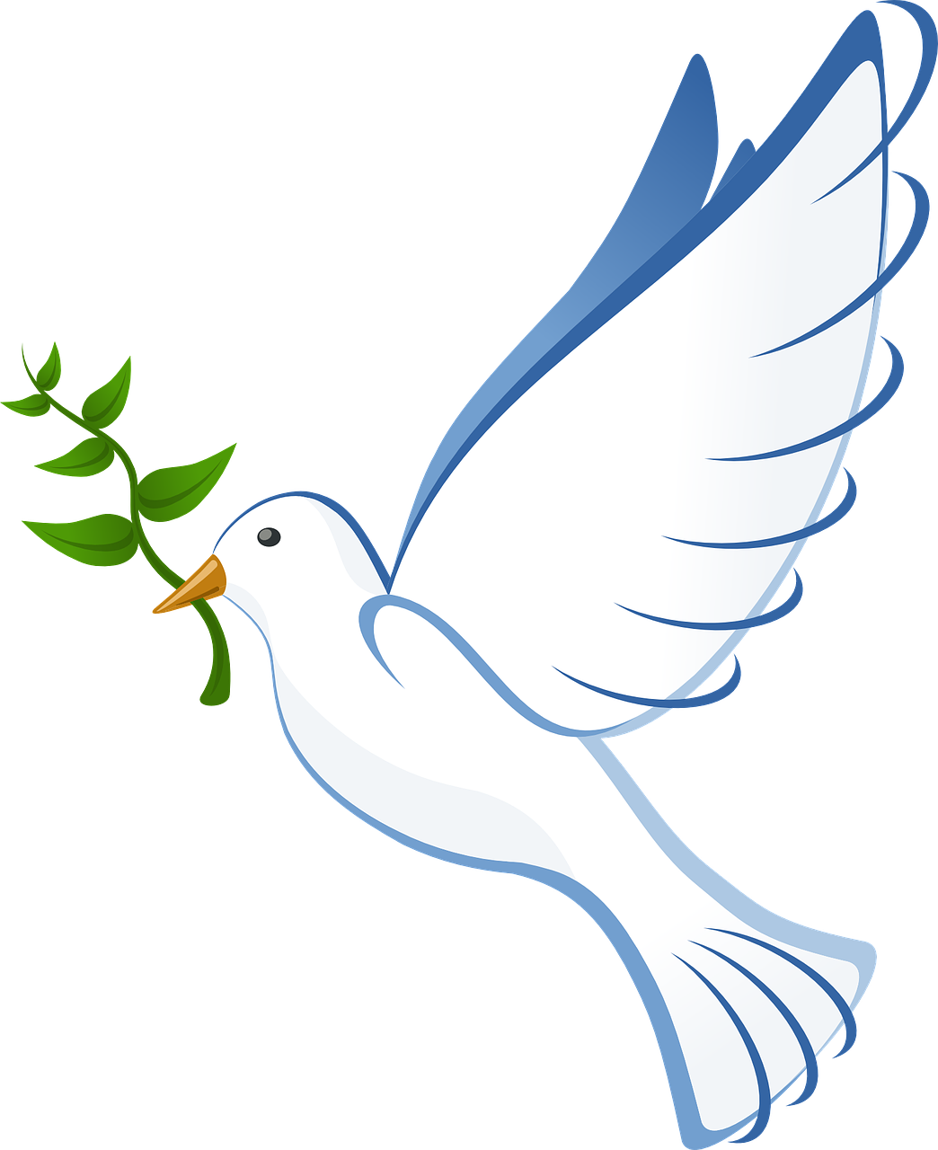 White Dove Clipart (1044x1280), Png Download