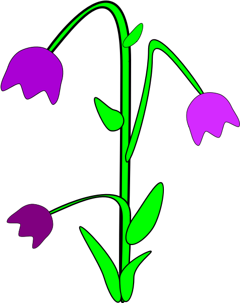 Line Art,plant,flora - Purple Cartoon Flowers Png Clipart (593x750), Png Download