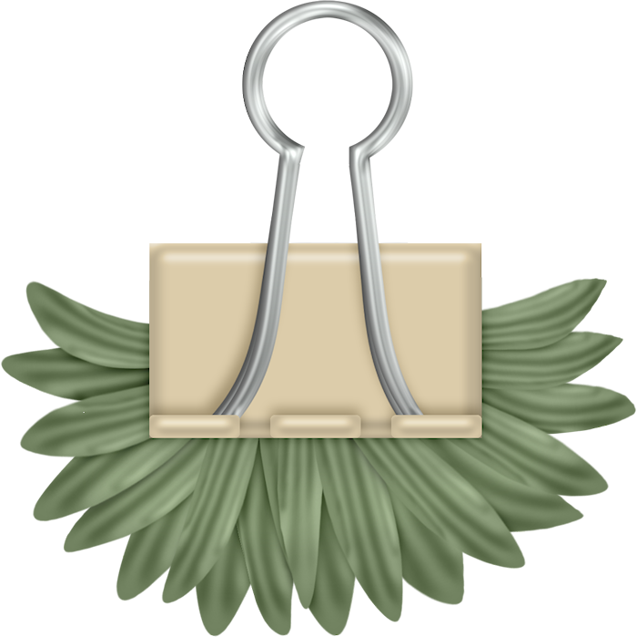 Binder Clips, Views Album, Gratis Png, Clip Art, Arte - Scrap Book Design Png Transparent Png (700x699), Png Download