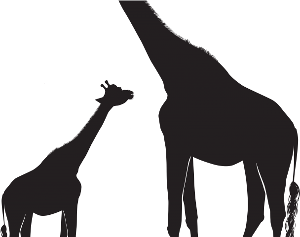 Giraffe And Baby Silhouette Clipart (640x480), Png Download