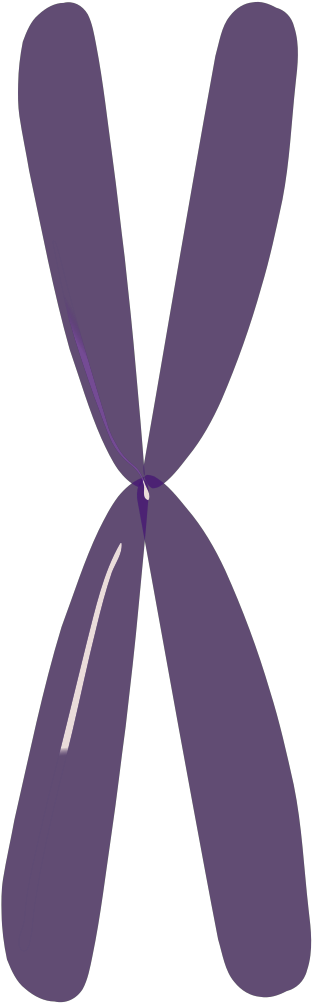 Clip Art - Png Download (1600x1600), Png Download