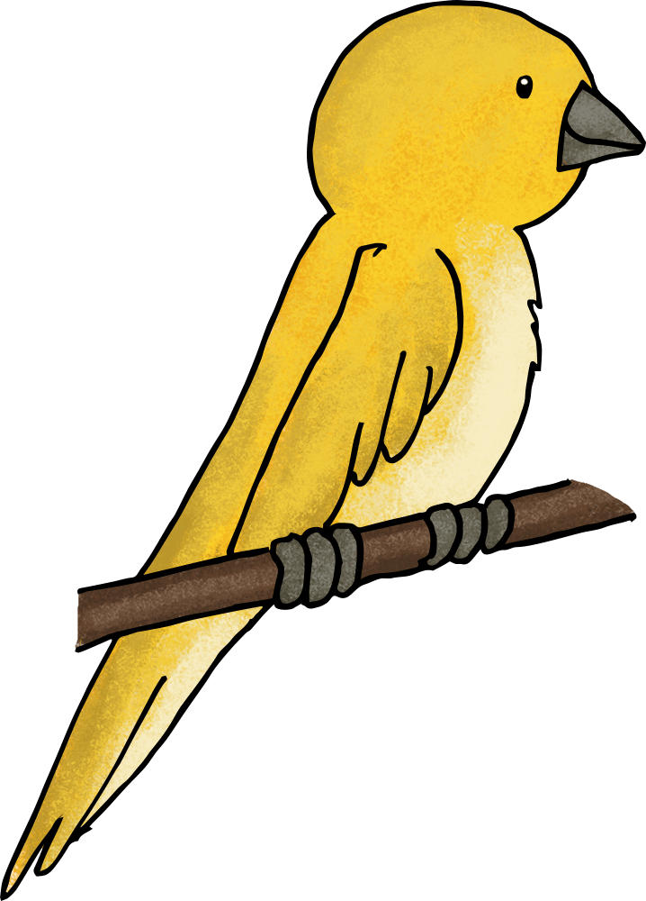 Transparent Playdoh Clipart - Bird Perch Clipart - Png Download (718x1000), Png Download