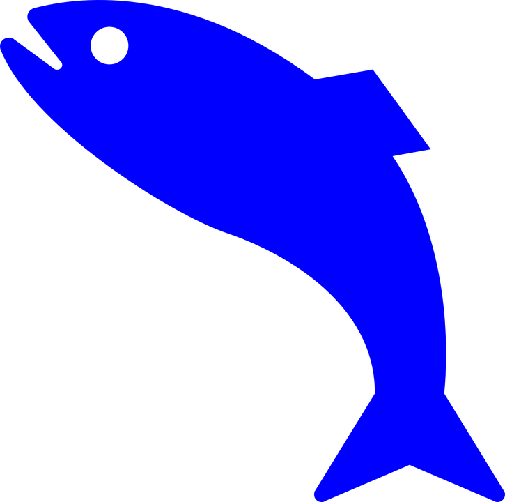 Transparent Fish Clip Art - Simple Fish Clipart - Png Download (725x720), Png Download