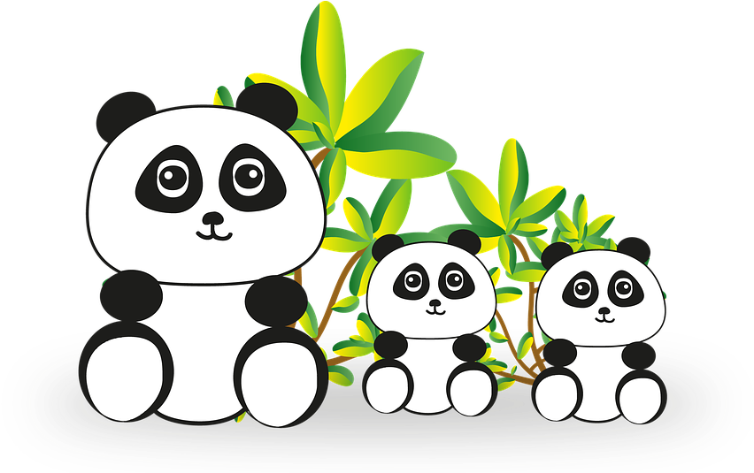 Panda Birthday Theme Boy Clipart (960x534), Png Download