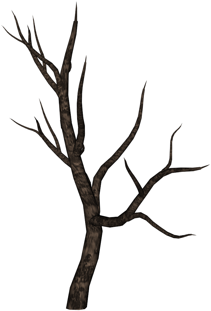 Stick Clipart Bare Branch Spooky Tree Branch Png Transparent Png