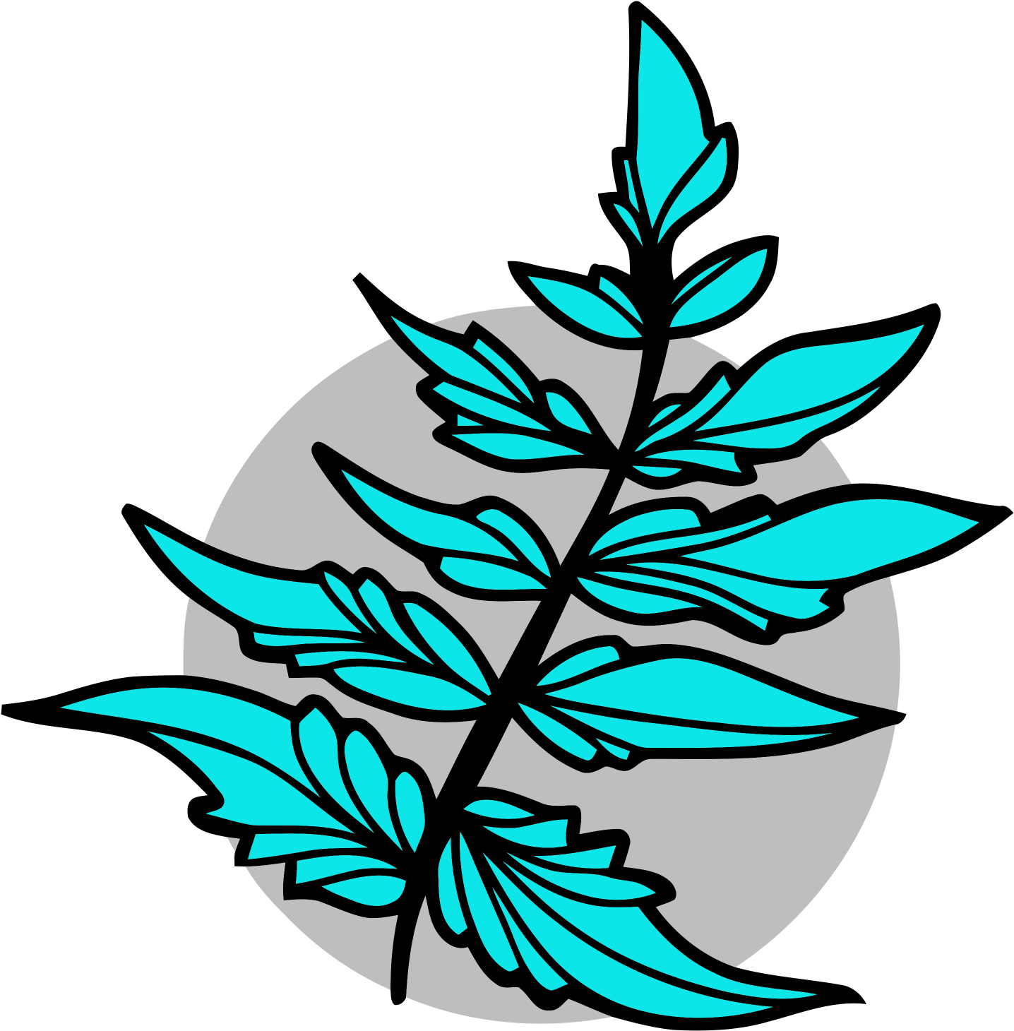 Transparent Fern Clipart - Fern - Png Download (1436x1460), Png Download