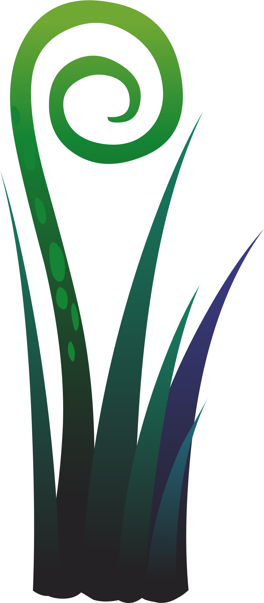 Ilmenskie Plant Fern 5 Clip Arts - Clip Art - Png Download (1010x2400), Png Download