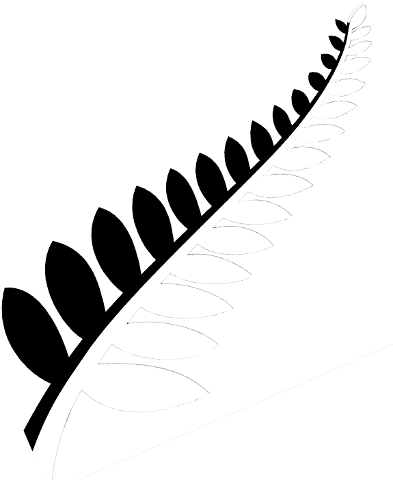 Drawn Fern New Zealand Fern - New Zealand Leaf Png Clipart (600x721), Png Download