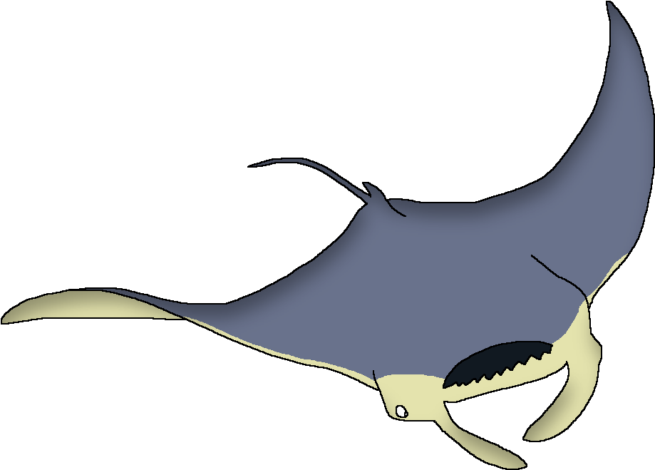 Wildlife Animal Pedia Wiki - Wildlife Animal Pedia Shark Clipart (940x676), Png Download