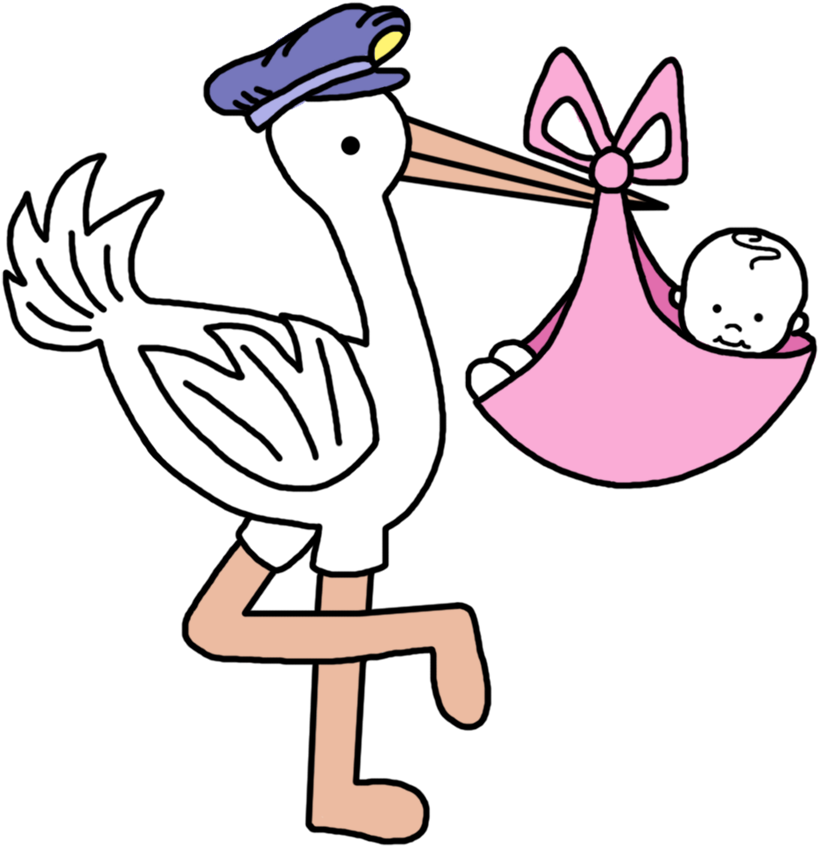 Stork Carrying Baby - Cute Stork Clipart - Png Download (818x846), Png Download