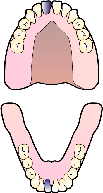 Clip Art - Png Download (502x792), Png Download