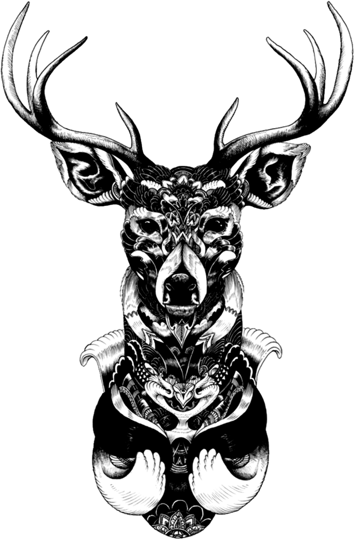 Dreamcatcher Illustrator Drawing Artist Free Hq Image - Mandala Deer Tattoo Clipart (800x1183), Png Download