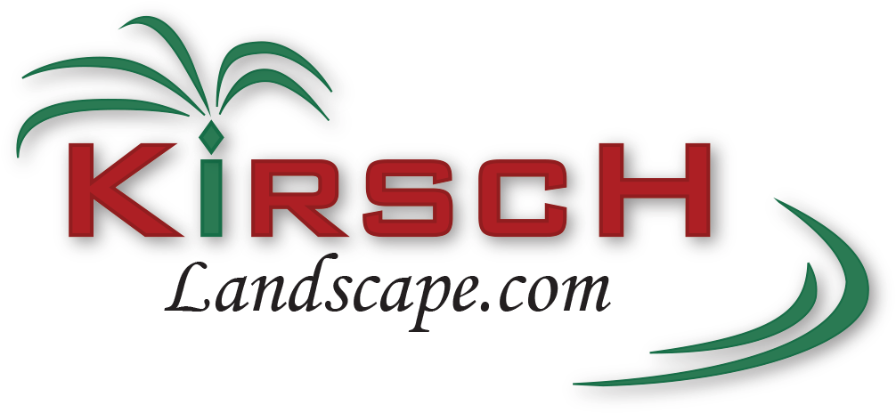 Graphic Design Clipart (1013x483), Png Download