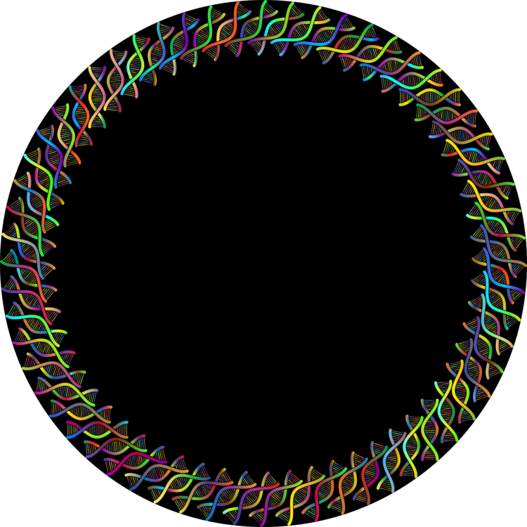 Symmetry,oval,circle - Circulos Png De Colores Clipart (750x750), Png Download