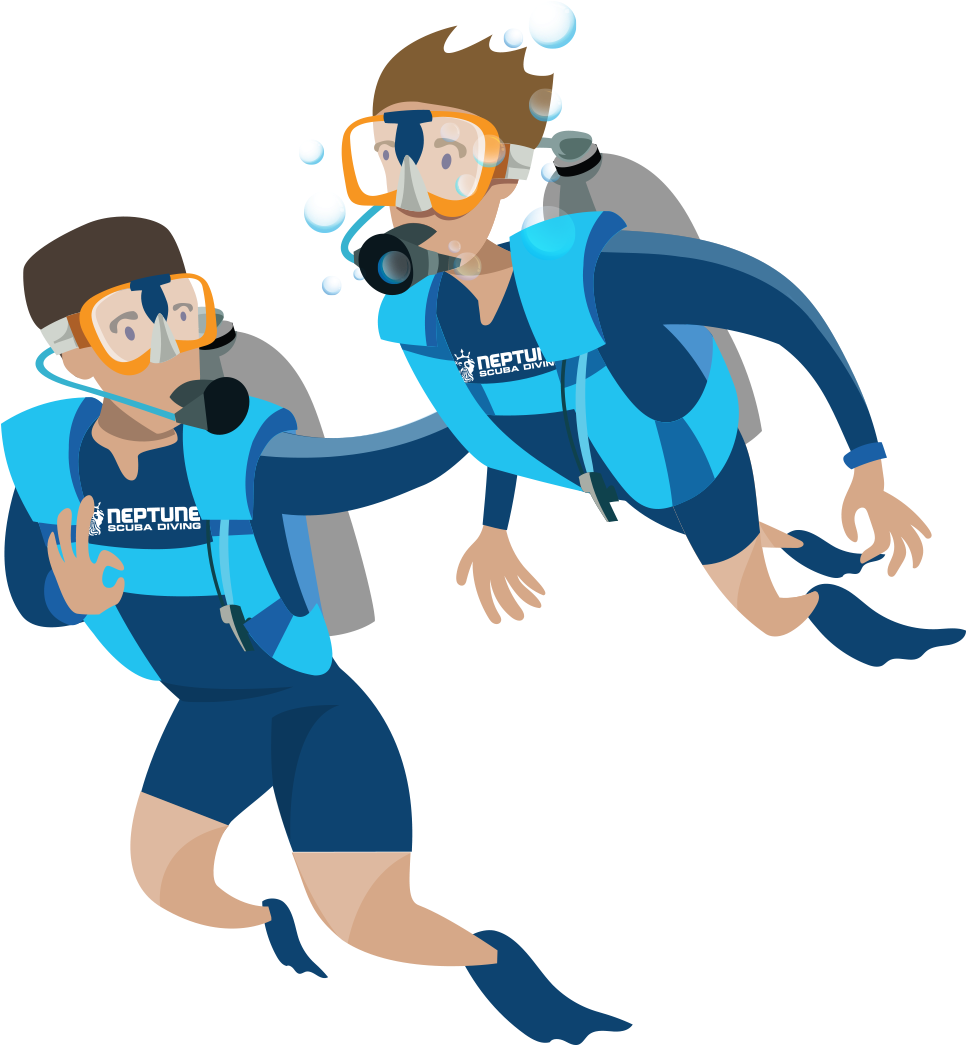 Illustration Clipart (1047x1132), Png Download