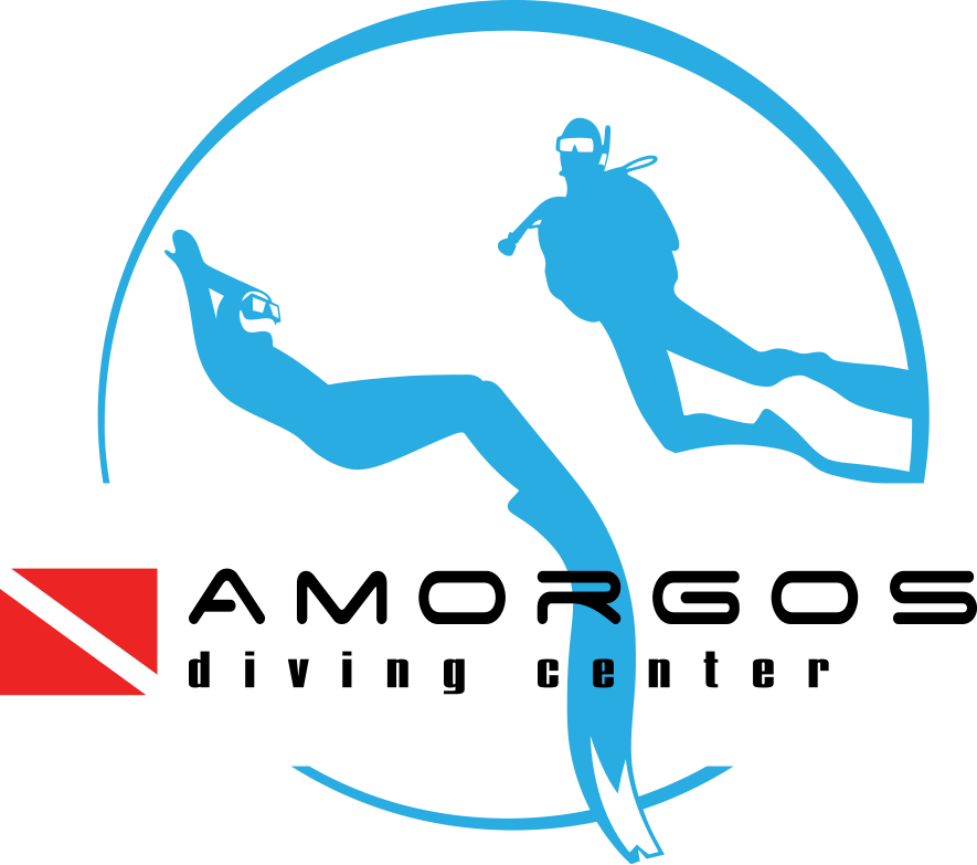 Clip Art - Png Download (885x783), Png Download