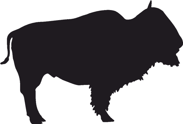 Creamery Brook Bison Buffalo Bills Jackson - Wild Buffalo Vector Clipart (800x800), Png Download