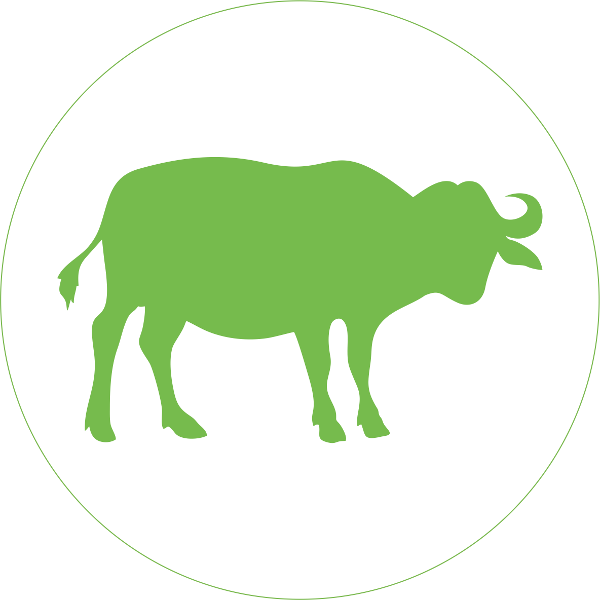 Big 5 Safari Sticker Buffalo - Cattle Clipart (1184x1184), Png Download