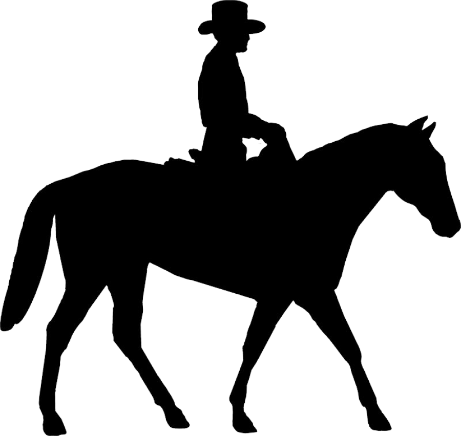 Clip Art Horse Riding - Png Download (800x757), Png Download