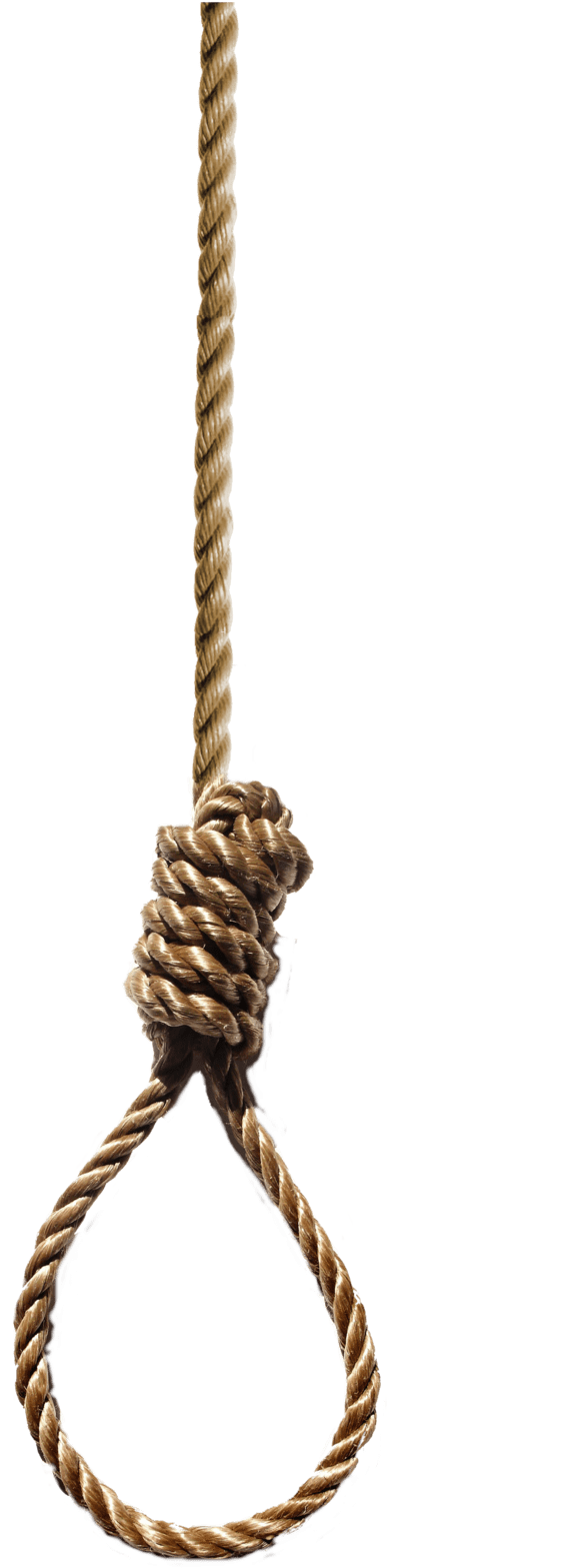 Hanging Rope Clip Arts - Hangman's Noose Png Transparent Png (900x1593), Png Download