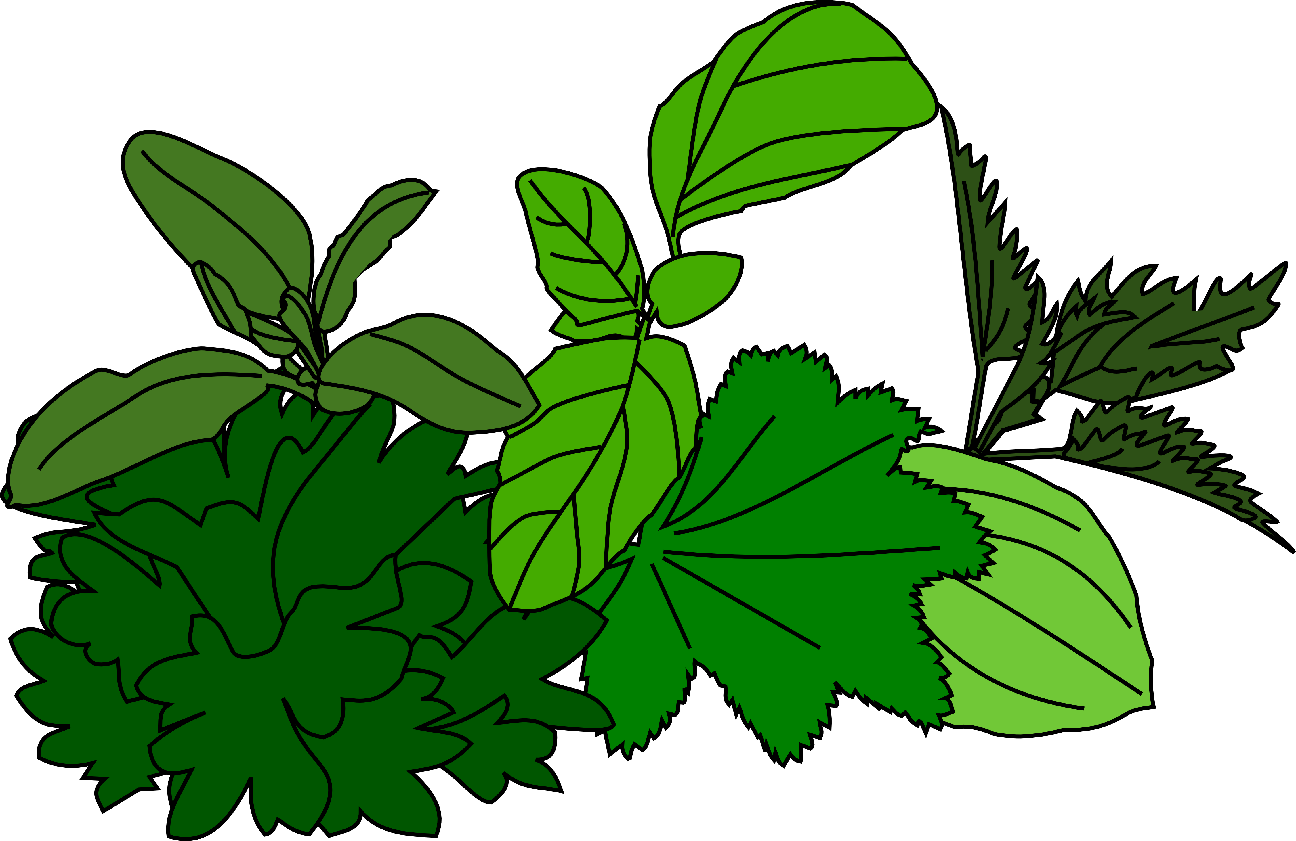 Clip Art - Png Download (4505x2925), Png Download